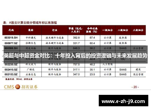 英超与中超资金对比:十年投入背后的投资逻辑与未来发展趋势 英超与中超资金对比:十年投入背后的投资逻辑与未来发展趋势