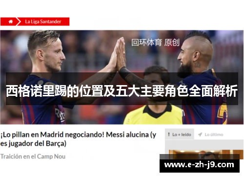 西格诺里踢的位置及五大主要角色全面解析